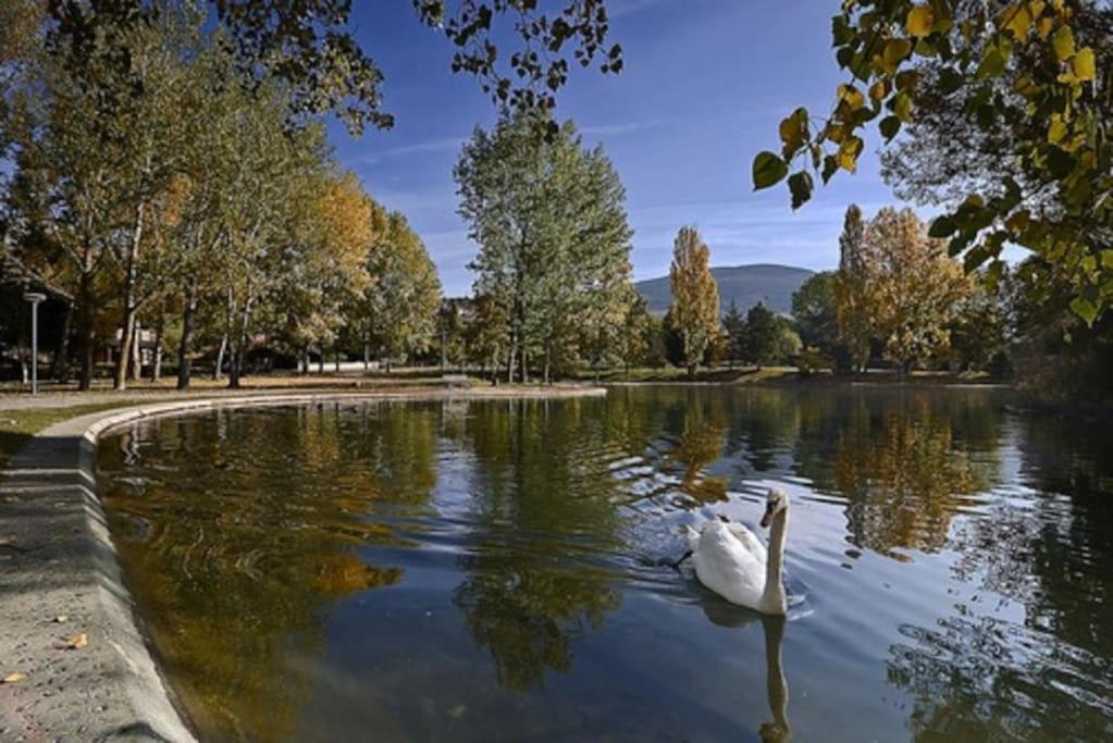 Ideal Parejas - Tranquilidad Y Naturaleza - Vistas Al Lago Osséja Extérieur photo