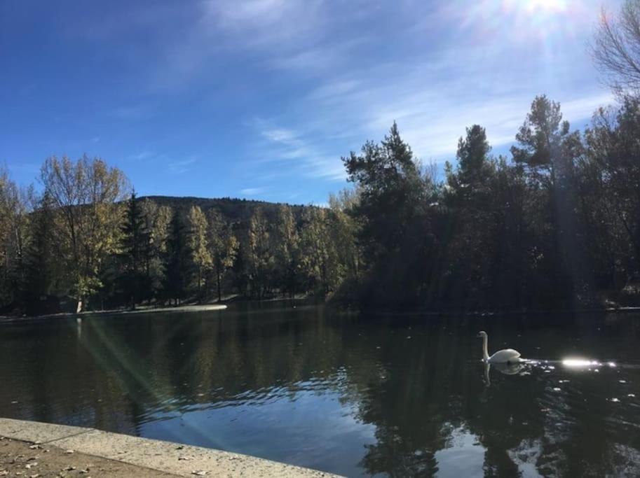 Ideal Parejas - Tranquilidad Y Naturaleza - Vistas Al Lago Osséja Extérieur photo